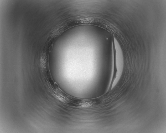 X0000074960604200609221759