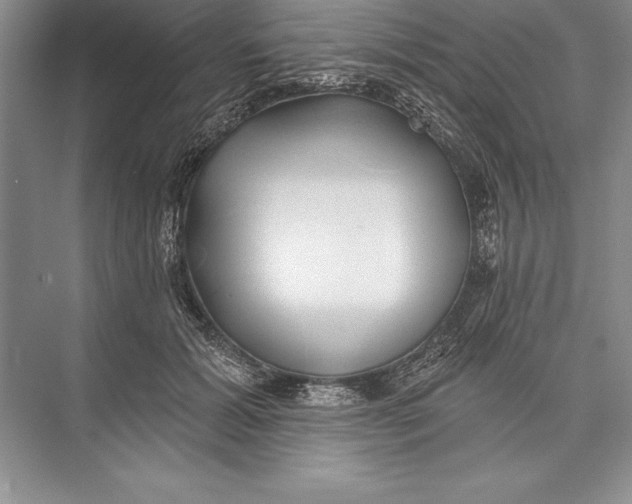 X0000074960605200609221759