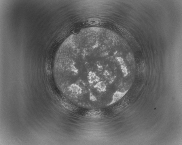 X0000074960606200609221759