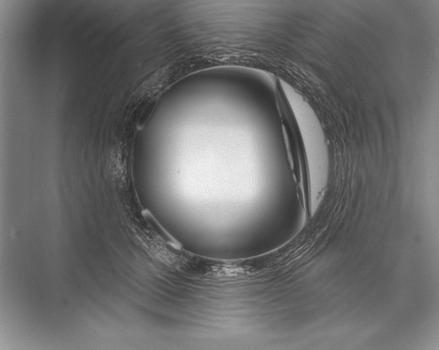 X0000074960607200609221759