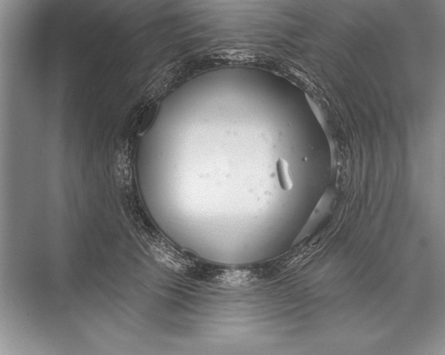 X0000074960609200609221759