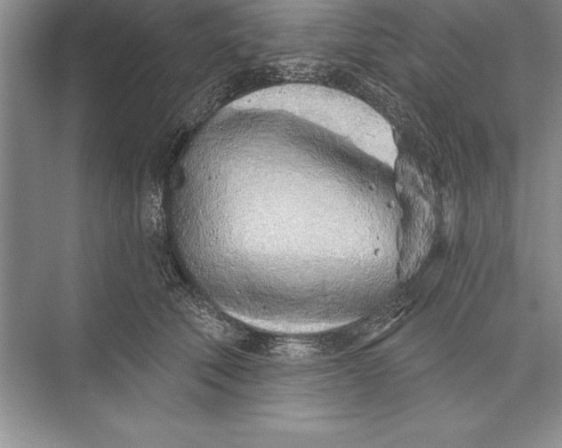 X0000074960610200609221759