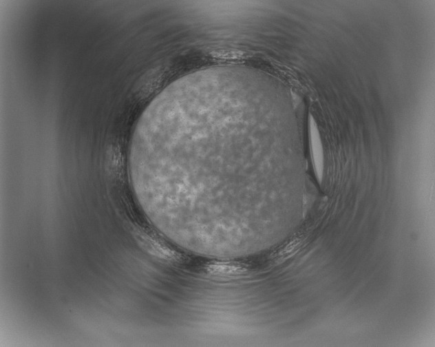 X0000074960614200609221759