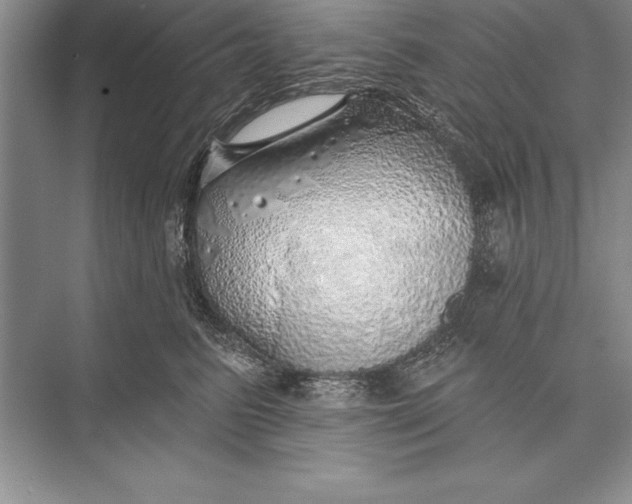 X0000074960615200609221758