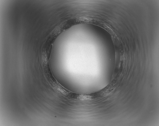 X0000074960617200609221758