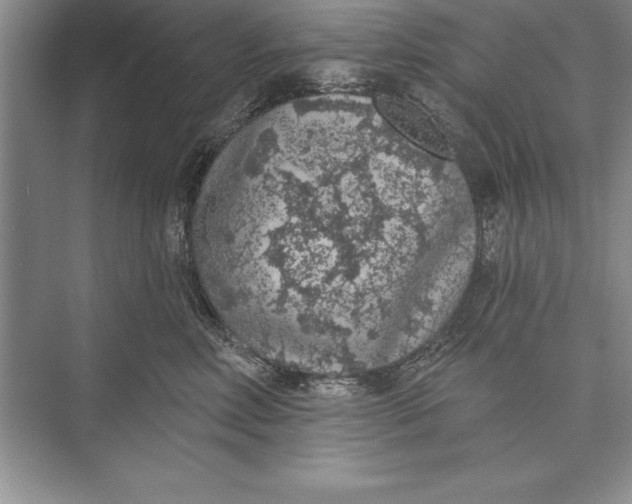 X0000074960618200609221758