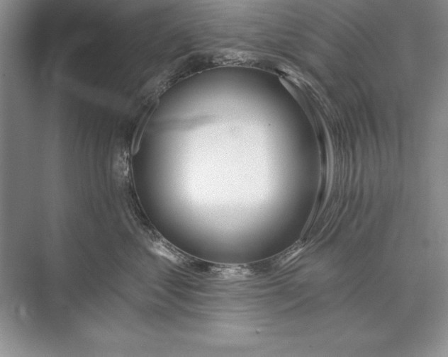 X0000074960621200609221758