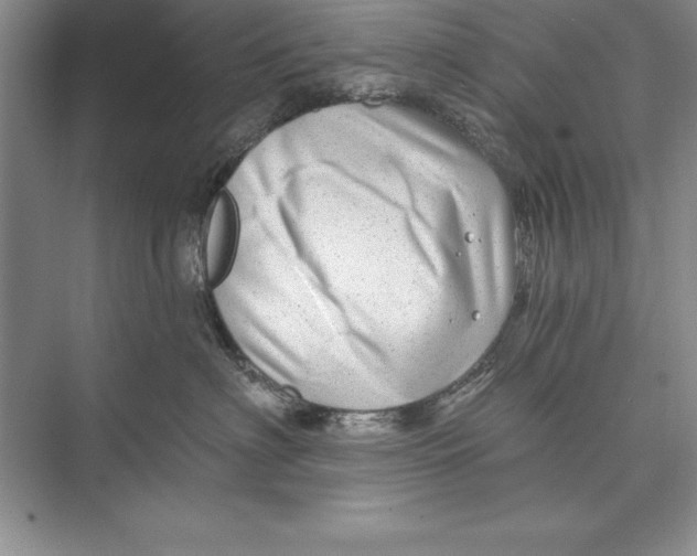 X0000074960622200609221758