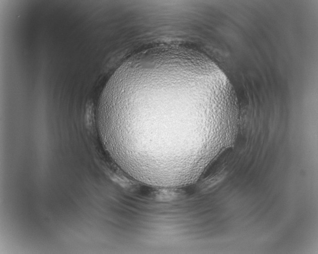 X0000074960623200609221758