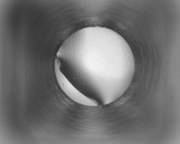 X0000074960624200609221758