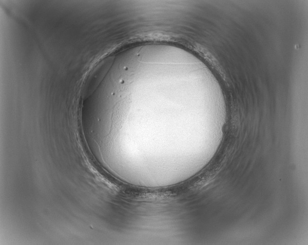 X0000074960625200609221758