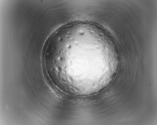 X0000074960626200609221758