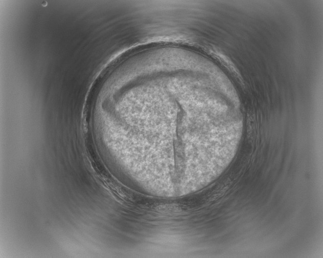 X0000074960628200609221758