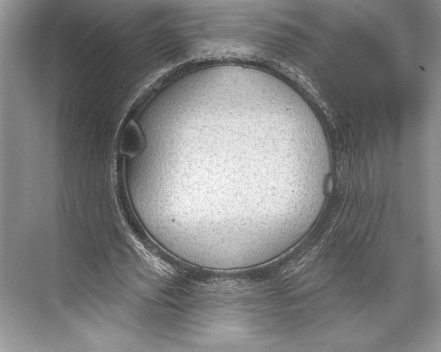 X0000074960629200609221758