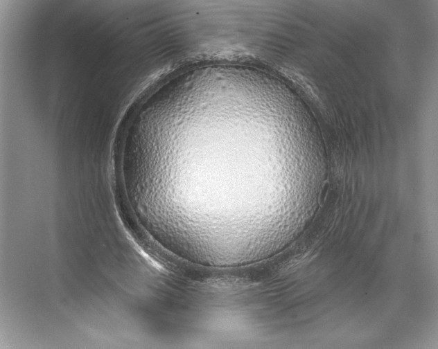 X0000074960630200609221758