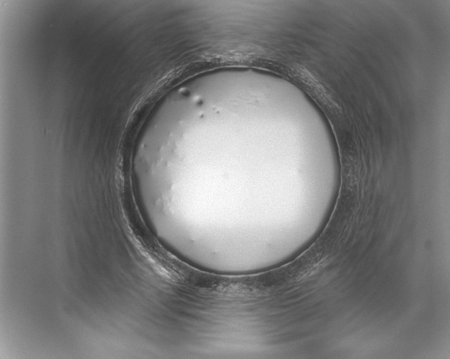 X0000074960634200609221758