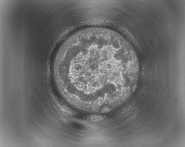 X0000074960636200609221758