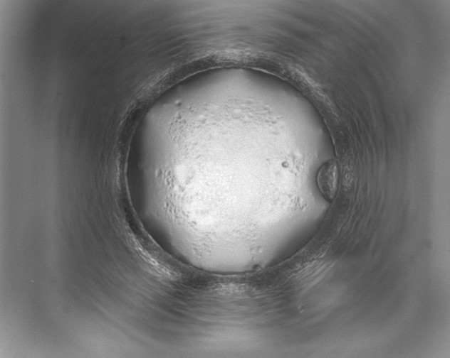 X0000074960637200609221758