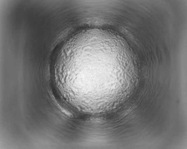 X0000074960638200609221758