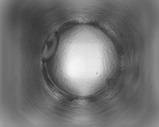 X0000074960639200609221758