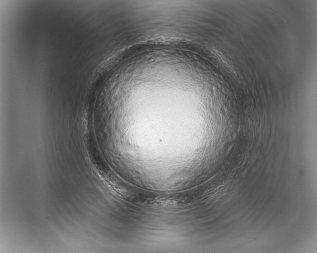 X0000074960640200609221758