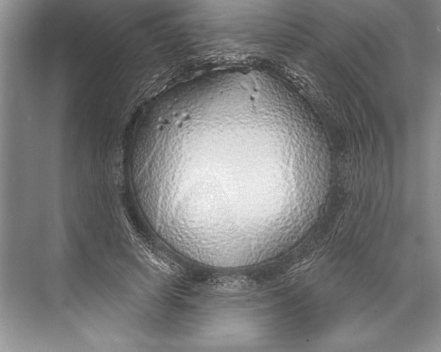 X0000074960642200609221758