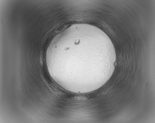 X0000074960644200609221758