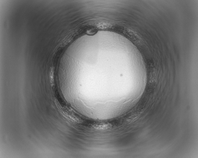 X0000074960646200609221758