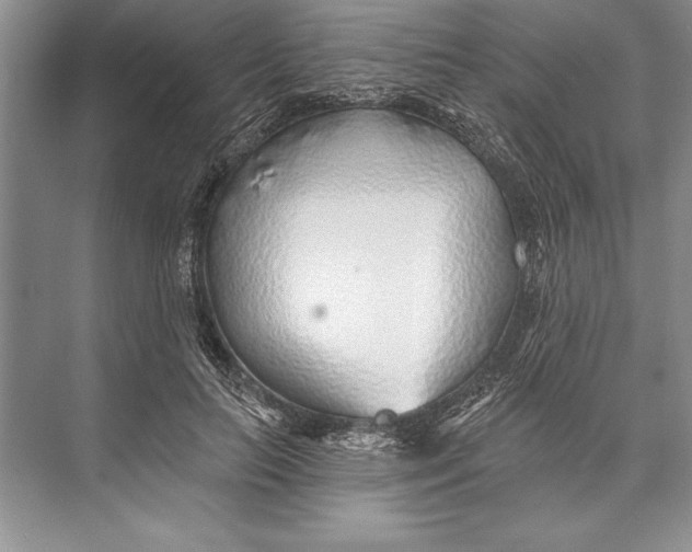 X0000074960647200609221758