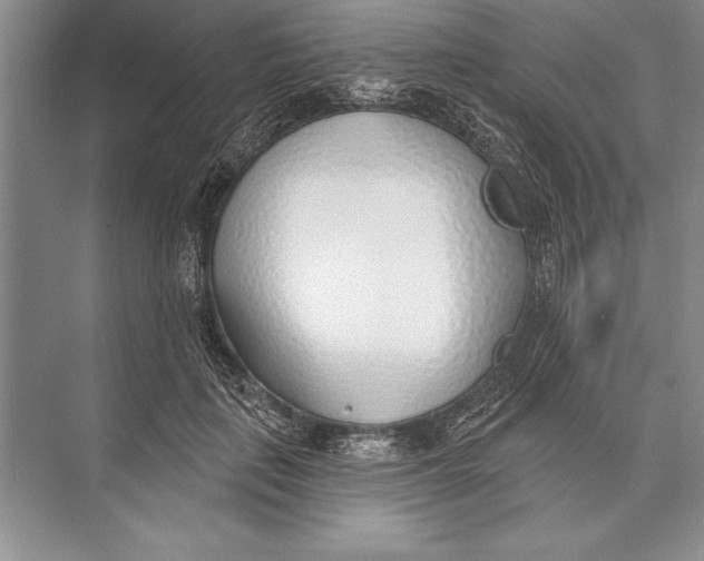 X0000074960651200609221758