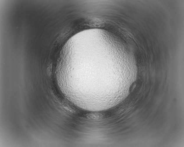 X0000074960652200609221758