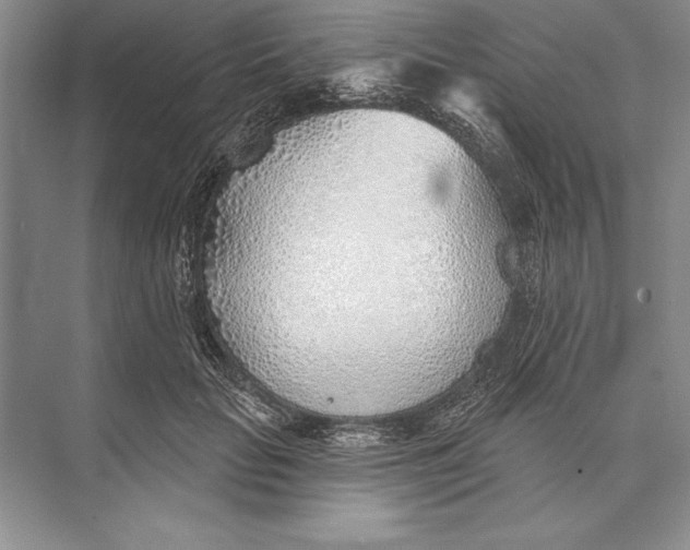 X0000074960653200609221758