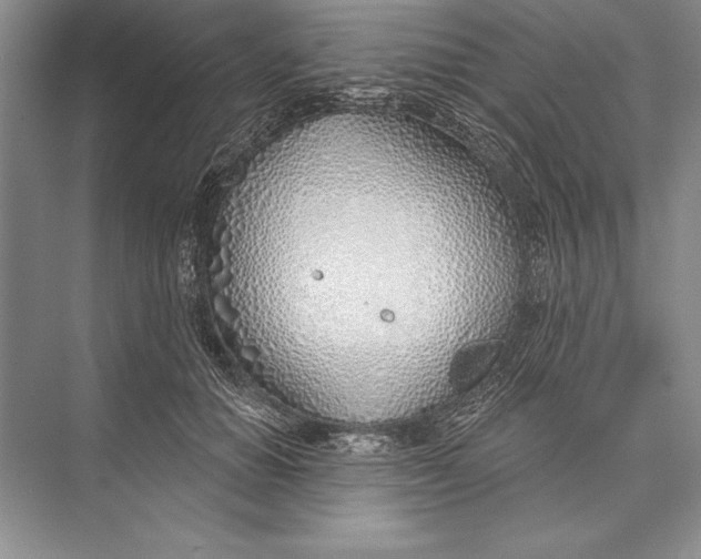 X0000074960654200609221758