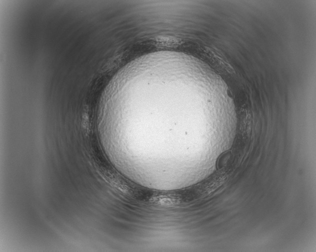 X0000074960655200609221758