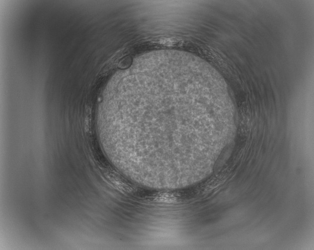 X0000074960656200609221758