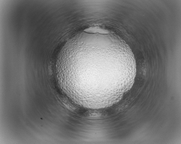 X0000074960658200609221758