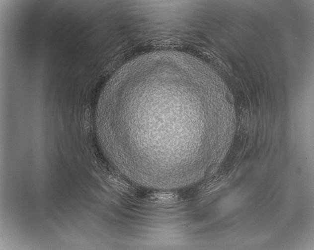 X0000074960659200609221758