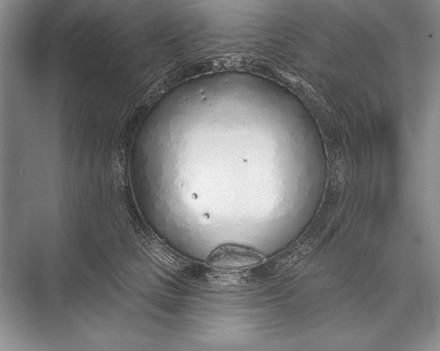 X0000074960661200609221758