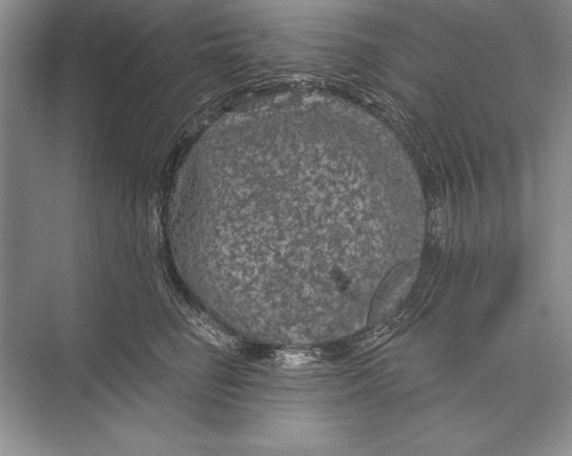 X0000074960662200609221758