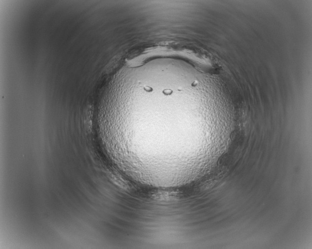 X0000074960664200609221758