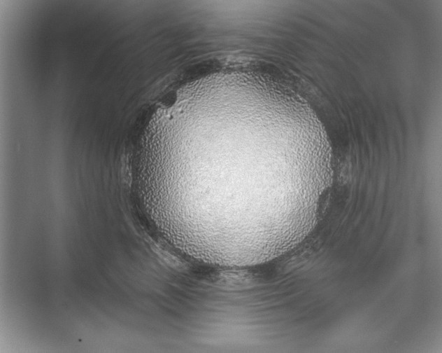 X0000074960666200609221758