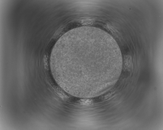 X0000074960667200609221758