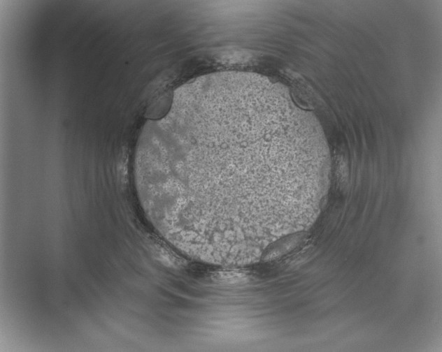 X0000074960668200609221758