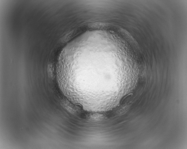 X0000074960669200609221758