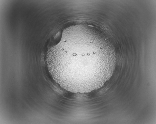 X0000074960670200609221758