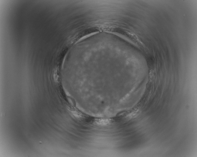 X0000074960671200609221758