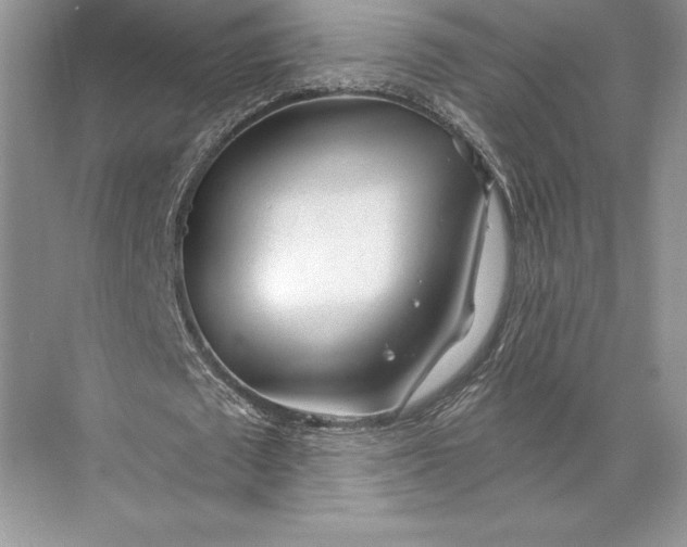 X0000074960673200609221758