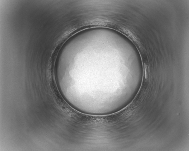 X0000074960675200609221757