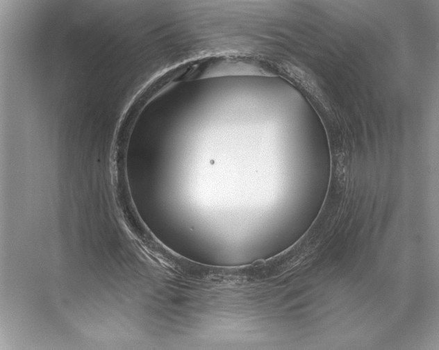 X0000074960676200609221757