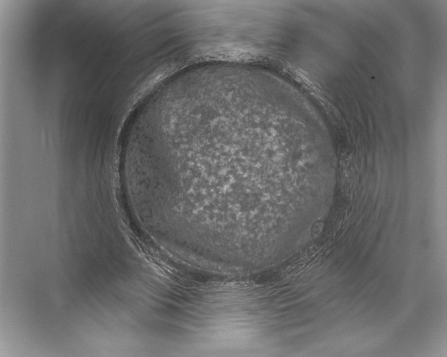 X0000074960679200609221757